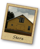 Store